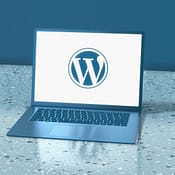 WordPress Developer,API,Integration,AgentBox
