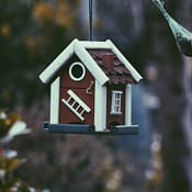 agentbox-realestate-api